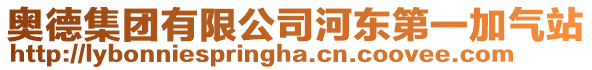 奧德集團(tuán)有限公司河?xùn)|第一加氣站