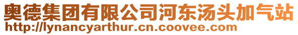 奧德集團(tuán)有限公司河?xùn)|湯頭加氣站