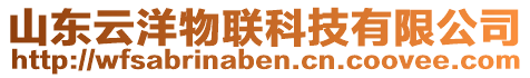 山東云洋物聯(lián)科技有限公司