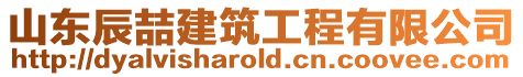 山東辰喆建筑工程有限公司