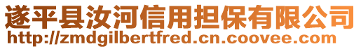 遂平縣汝河信用擔(dān)保有限公司