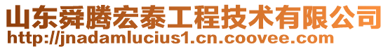 山東舜騰宏泰工程技術(shù)有限公司