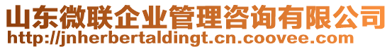 山東微聯(lián)企業(yè)管理咨詢有限公司