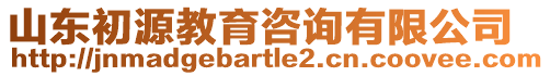 山東初源教育咨詢有限公司