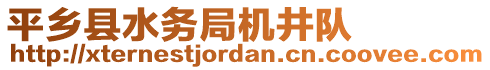 平鄉縣水務局機井隊