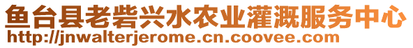 魚臺縣老砦興水農(nóng)業(yè)灌溉服務(wù)中心