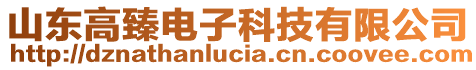 山東高臻電子科技有限公司