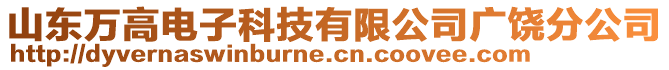 山東萬(wàn)高電子科技有限公司廣饒分公司