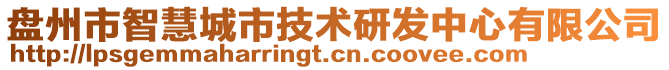 盤州市智慧城市技術(shù)研發(fā)中心有限公司