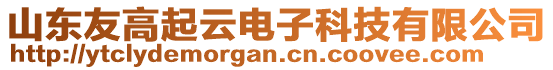 山東友高起云電子科技有限公司