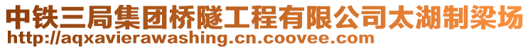 中鐵三局集團橋隧工程有限公司太湖制梁場