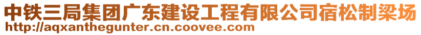 中鐵三局集團廣東建設工程有限公司宿松制梁場