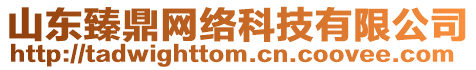 山東臻鼎網絡科技有限公司