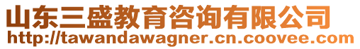 山東三盛教育咨詢有限公司