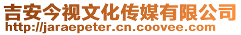 吉安今視文化傳媒有限公司