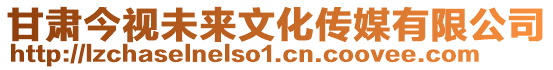 甘肅今視未來(lái)文化傳媒有限公司