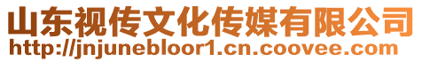 山東視傳文化傳媒有限公司