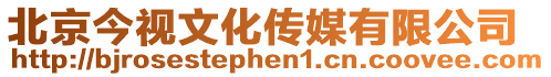 北京今視文化傳媒有限公司