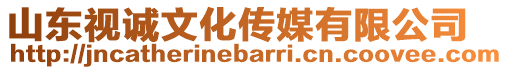 山東視誠文化傳媒有限公司