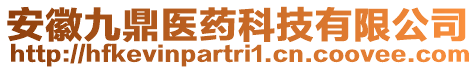 安徽九鼎醫(yī)藥科技有限公司