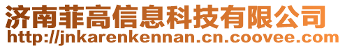 濟(jì)南菲高信息科技有限公司