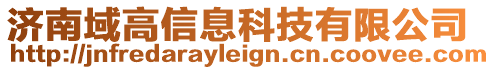 濟(jì)南域高信息科技有限公司