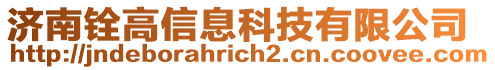 濟(jì)南銓高信息科技有限公司