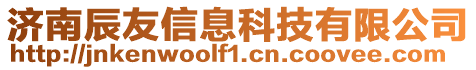 濟南辰友信息科技有限公司