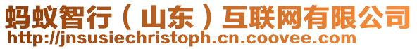 螞蟻智行（山東）互聯網有限公司