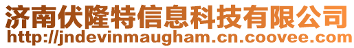 濟(jì)南伏隆特信息科技有限公司