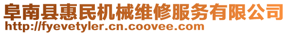 阜南縣惠民機械維修服務(wù)有限公司