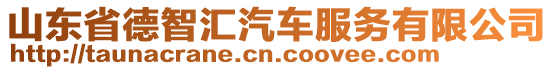 山東省德智匯汽車服務(wù)有限公司