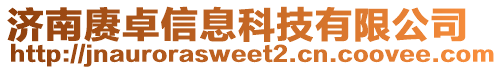 濟南賡卓信息科技有限公司