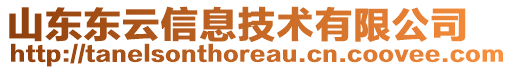 山東東云信息技術(shù)有限公司