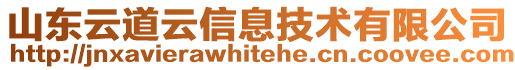 山東云道云信息技術(shù)有限公司