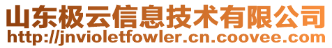 山東極云信息技術有限公司