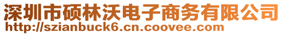 深圳市碩林沃電子商務(wù)有限公司