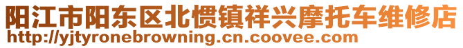 陽江市陽東區北慣鎮祥興摩托車維修店