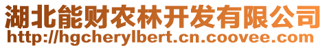湖北能財農林開發有限公司