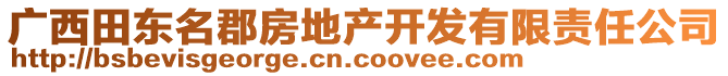 廣西田東名郡房地產(chǎn)開發(fā)有限責(zé)任公司