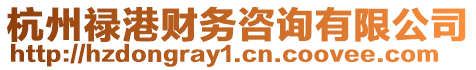 杭州祿港財務咨詢有限公司