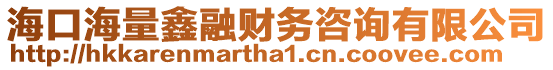 海口海量鑫融財務咨詢有限公司