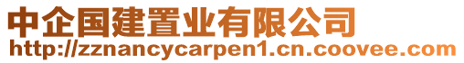 中企國建置業(yè)有限公司