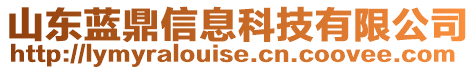 山東藍鼎信息科技有限公司