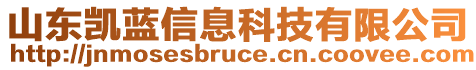 山東凱藍(lán)信息科技有限公司