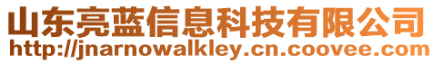 山東亮藍信息科技有限公司