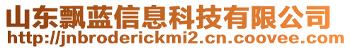 山東飄藍(lán)信息科技有限公司