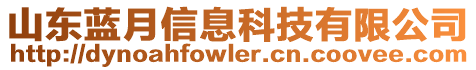 山東藍(lán)月信息科技有限公司