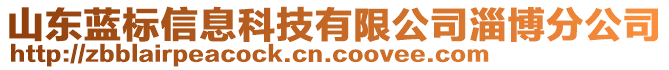 山东蓝标信息科技有限公司淄博分公司