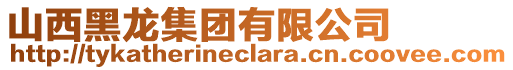 山西黑龍集團有限公司